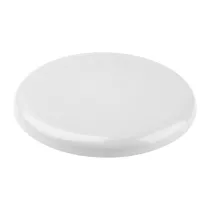 frisbee Smooth Fly
