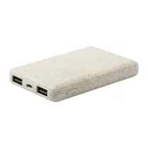 power bank Durum