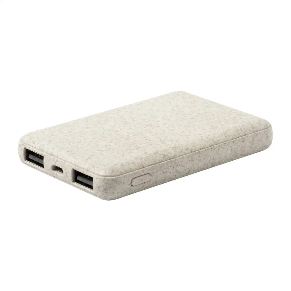 power bank Durum