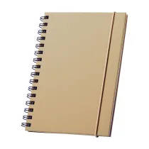 notes Spural