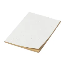 notes z papieru nasiennego Semeno Note