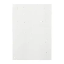 notes z papieru nasiennego Semeno Note