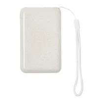 power bank Surum