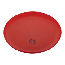 frisbee Reppy