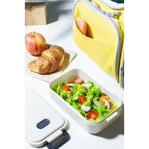 lunch box / pudełko na lunch Steamo