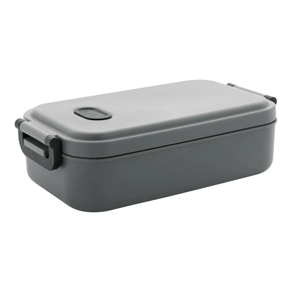 lunch box / pudełko na lunch Steamo