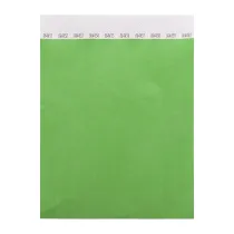 opaski na rękę tyvek (10 szt.) Wristvek