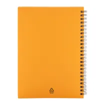 notes Strobus A5