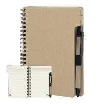 notes  Balsamea
