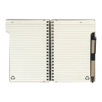 notes  Balsamea