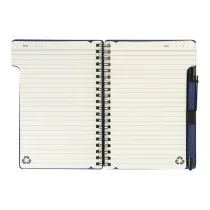 notes  Balsamea