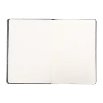 Notes Baines, szary