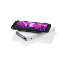 Powerbank DOUBLE 8000 mAh