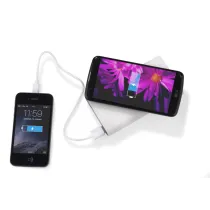 Powerbank DOUBLE 8000 mAh