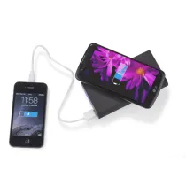 Powerbank DOUBLE 8000 mAh
