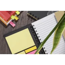 Notes MAGO B6
