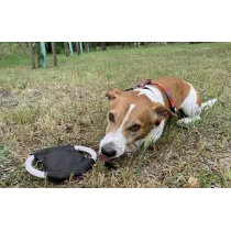 Frisbee dla psa RINGO
