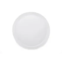 Frisbee ZING