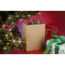 Torba papierowa PAKLO średnia