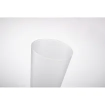 FESTA