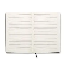 SOFTNOTE