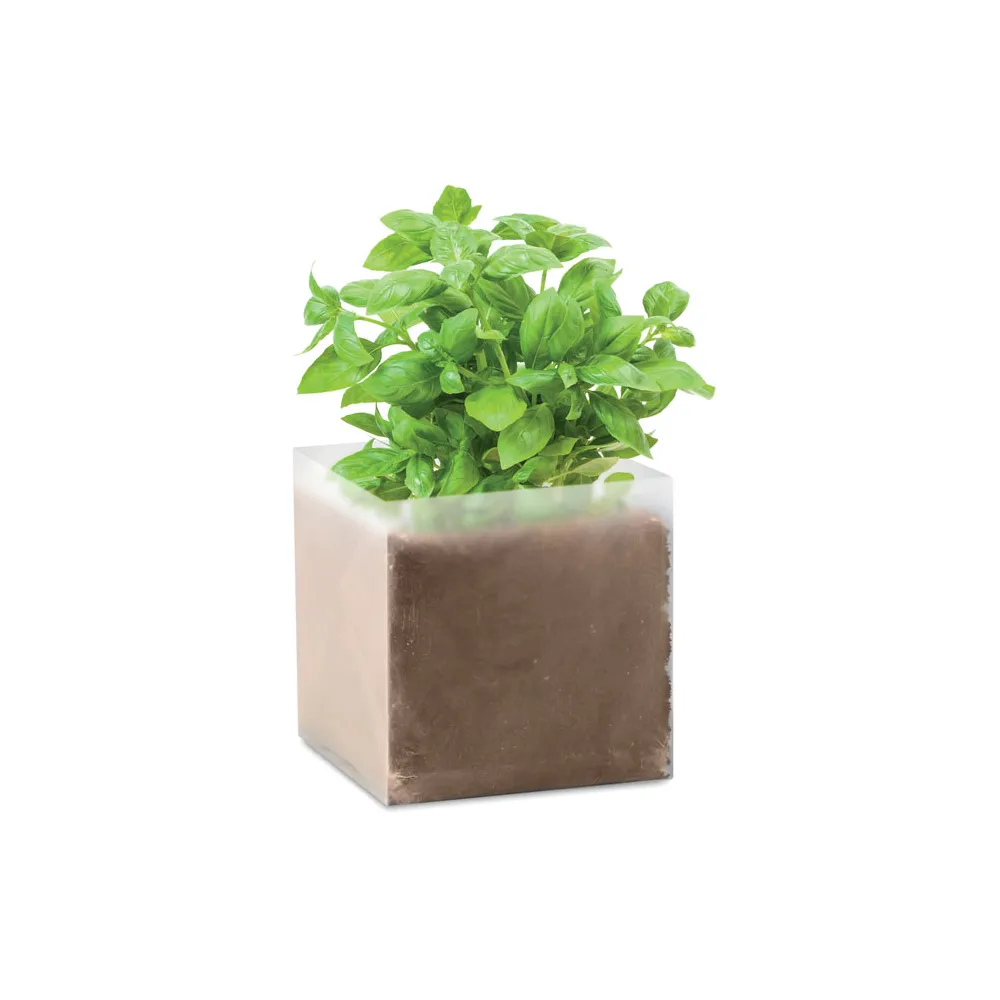 BASIL