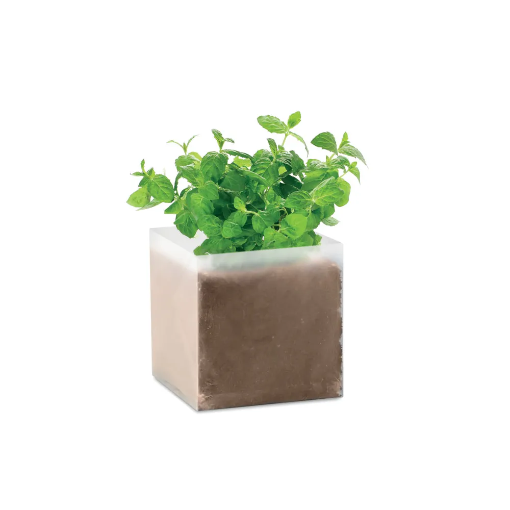 MINT