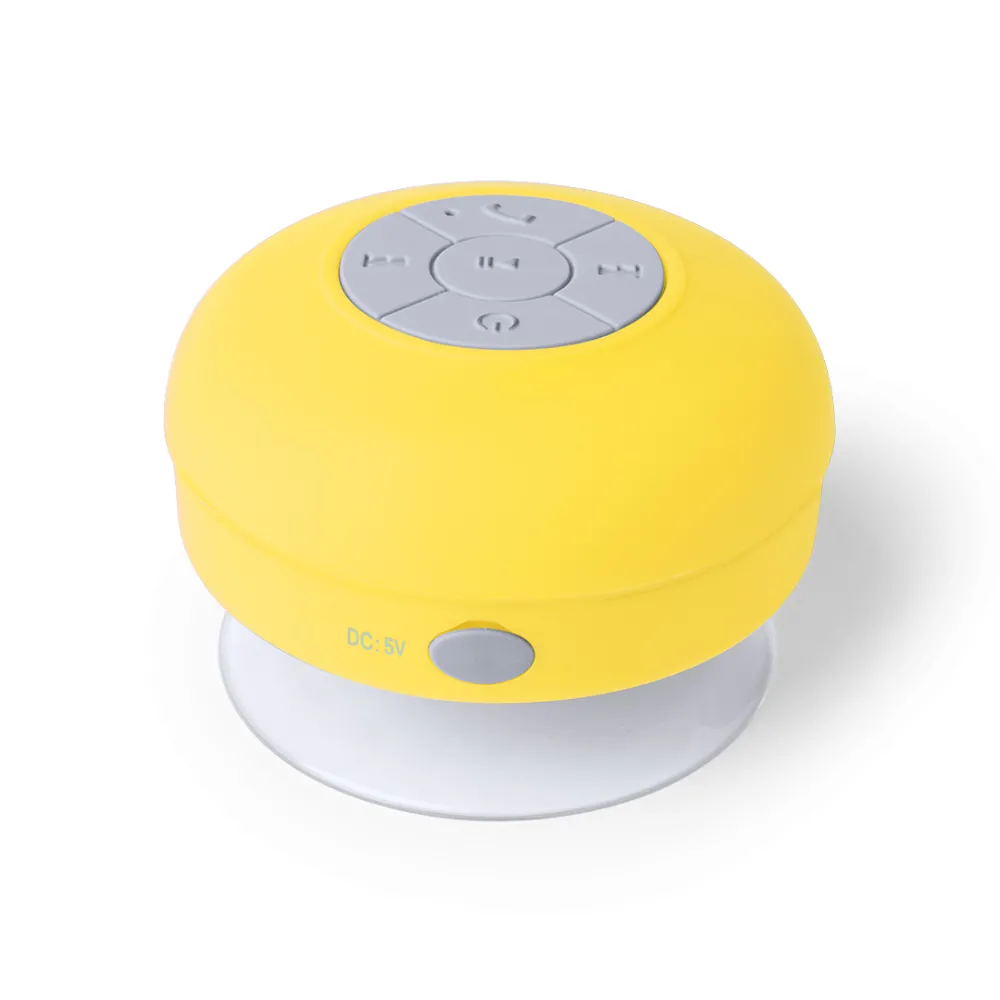 Speaker Rariax