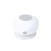 Speaker Rariax