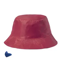 Reversible Hat Nesy