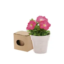 Flowerpot Advert