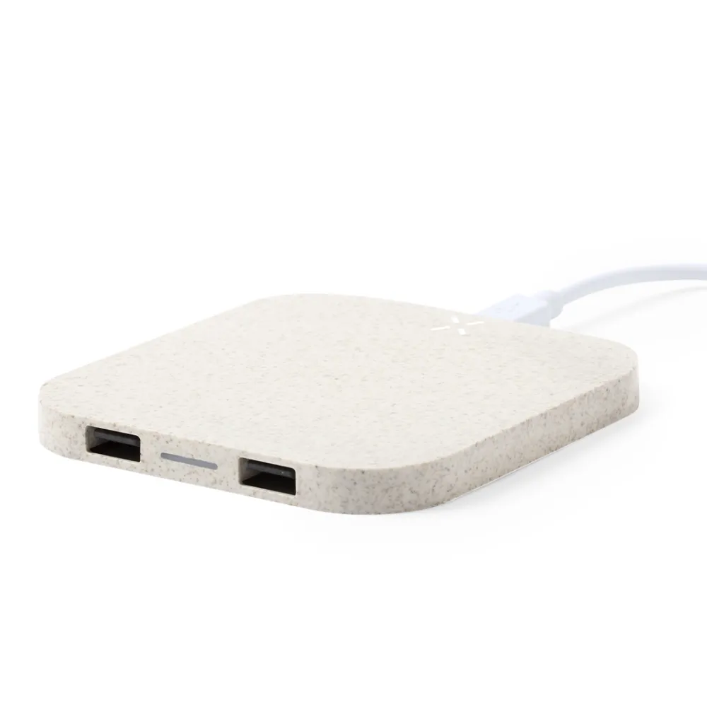 Charger Riens