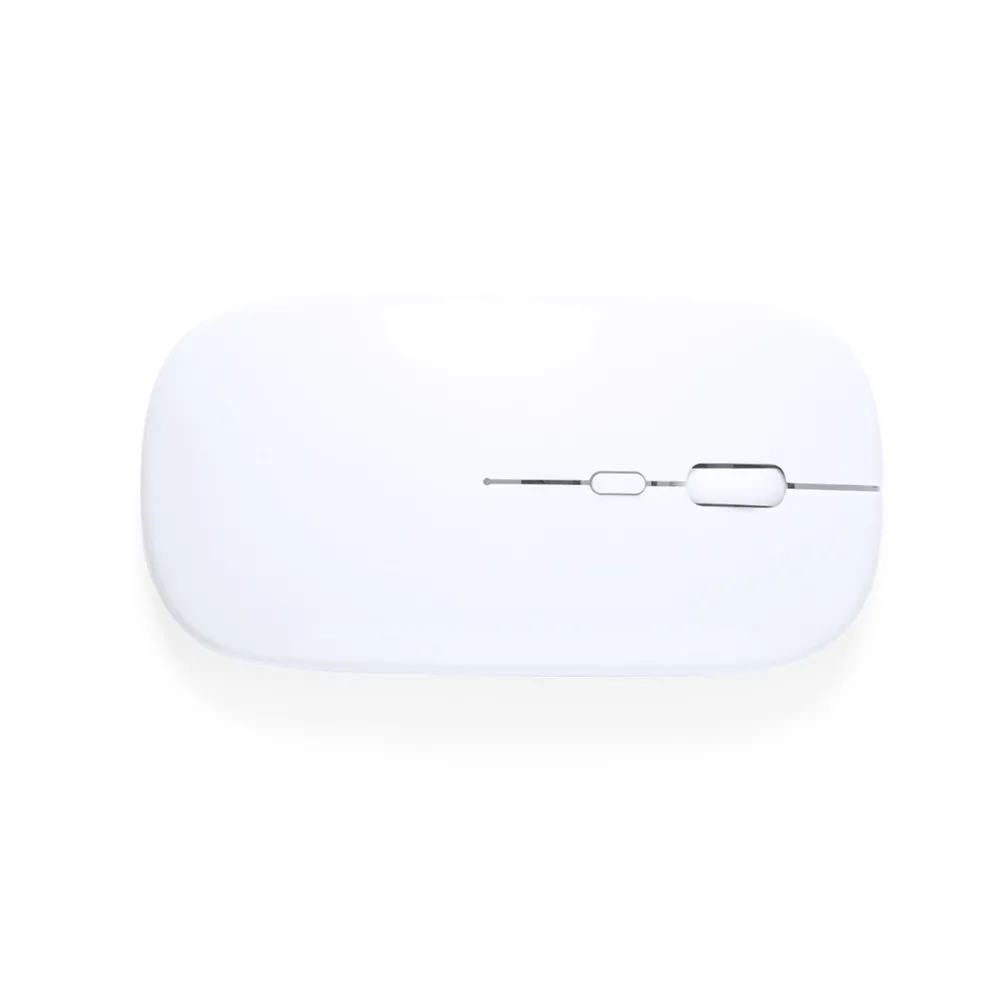 Mouse Chestir RCS