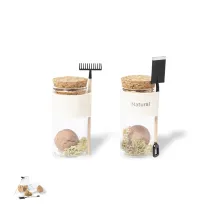 Seed Bonbons Winsu