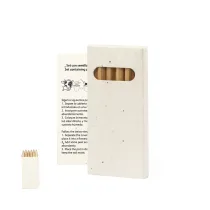 Seeds Pencil Set Delar