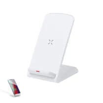 Charger Tayil RCS