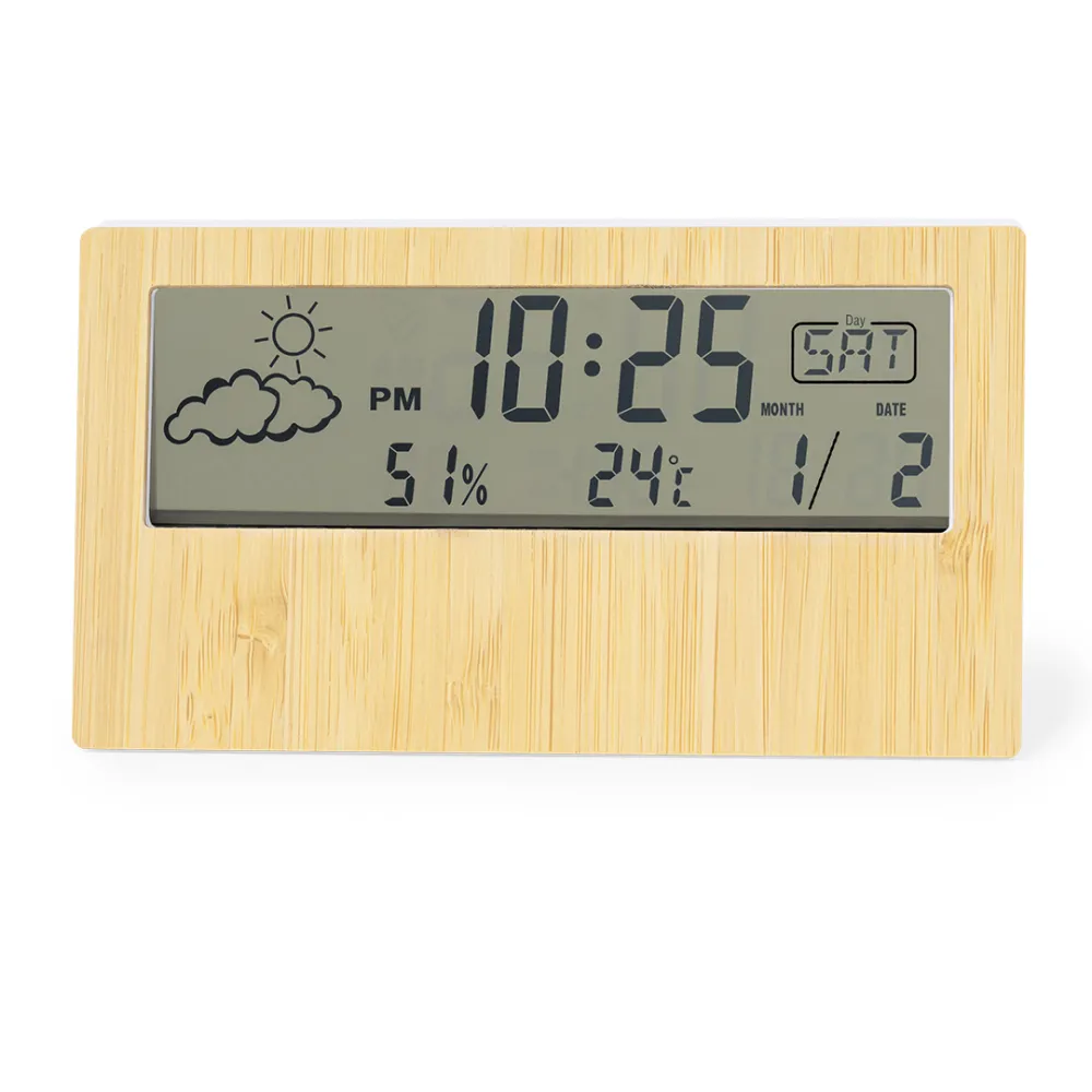 Weather Station Roamer
