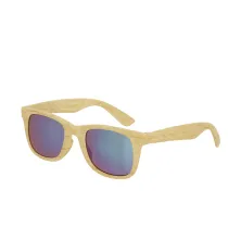 Sunglasses Sailek