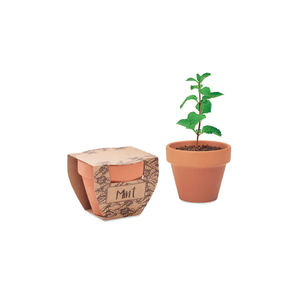 MINT POT