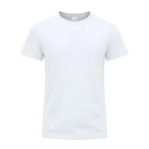 Adult White T-Shirt Perkins