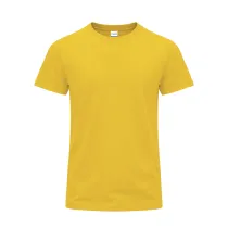 Adult Colour T-Shirt Perkins