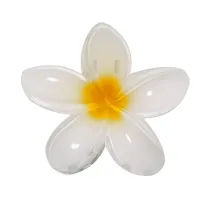 Hair Clip Tixcon