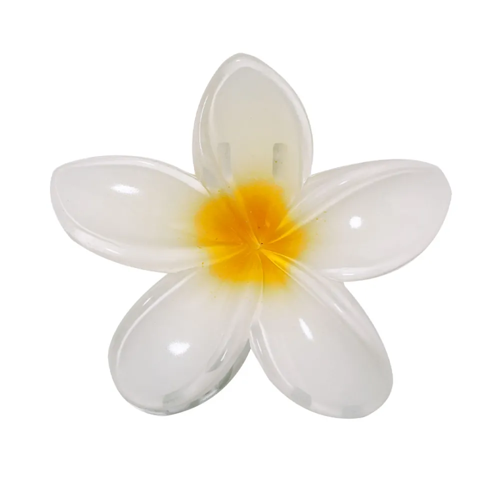 Hair Clip Tixcon