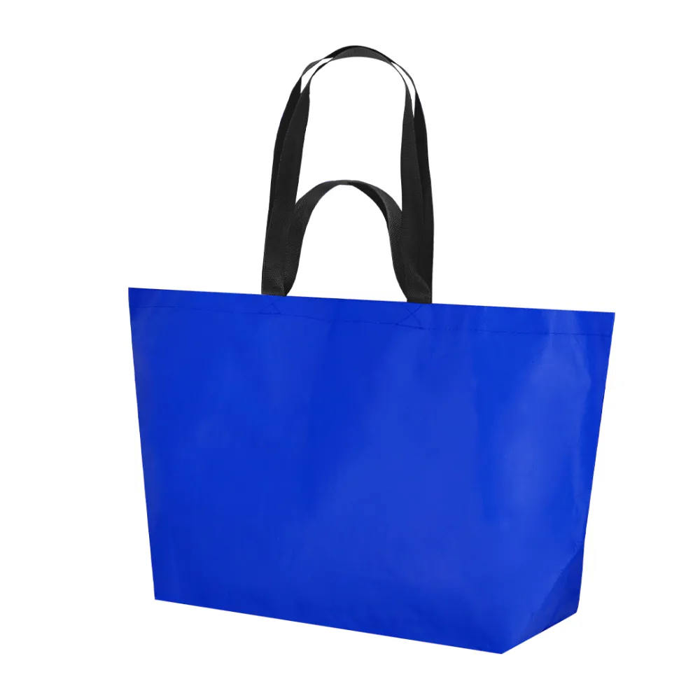 Bag Torvik