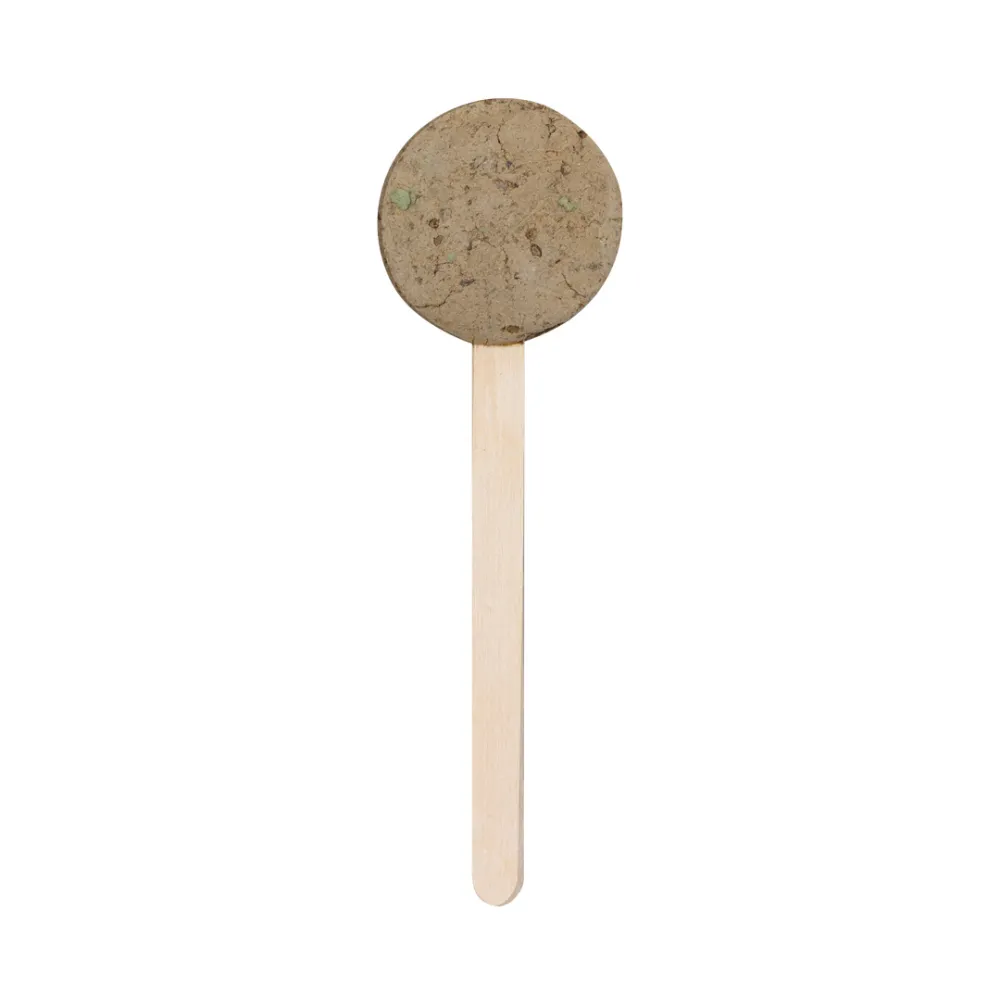 Seed Lollipop Ebeldy