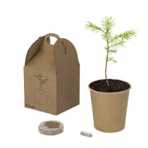 Flowerpot Vencor