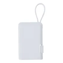 Power Bank Brandin
