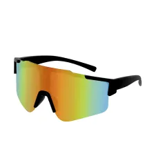 Sunglasses Hozal