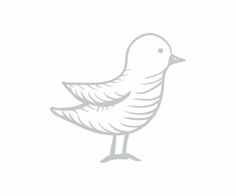 EKOLOGICZNE, BIO, NATURAL